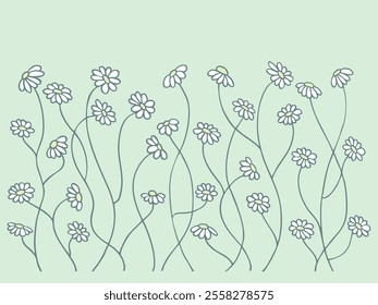 Plantas florales, flores, margaritas, manzanilla, margarita sobre un fondo transparente. Elementos decorativos para decoración. Garabatos dibujados a mano de Elementos botánicos de Vector en estilo plano