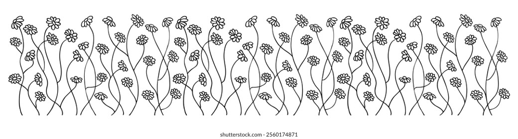 Floral plants, flowers, daisies, chamomile, daisy on a transparent background. Decorative elements for decoration. Hand drawing doodles of vector botanical elements in line style