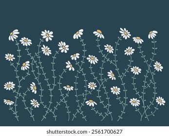 Floral plants, flowers, daisies, chamomile, daisy. Decorative elements for decoration. Hand drawing doodles of vector botanical elements in flat style