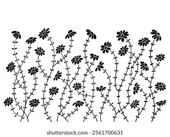 Floral plants, flowers, daisies, chamomile, daisy on a transparent background. Decorative elements for decoration. Hand drawing doodles of vector botanical elements