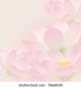 Blumenpostkarte. Lotus.