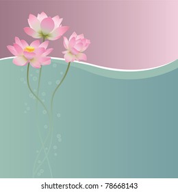 Floral postcard. Lotus.