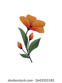 floral poster for home decoration. Flat botanical illustration, Hand Drawn Spring Flowers Vector Collection, Spring and Summer Flower Decorations