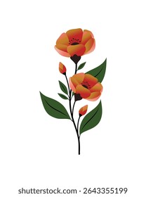 floral poster for home decoration. Flat botanical illustration, Hand Drawn Spring Flowers Vector Collection, Spring and Summer Flower Decorations