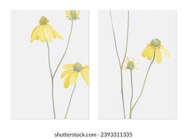 Floral poster template design, Cutleaf coneflower with branch on grey