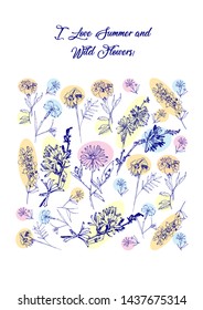 Floral Poster with Wild Flowers Sketches. Botanical Hand Drawn Digital  Illustration