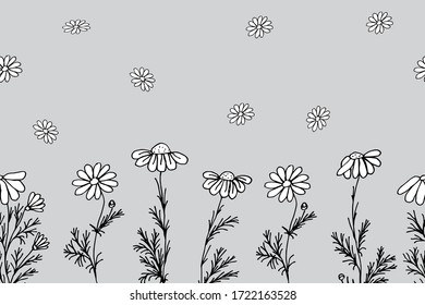Floral print of field daisies. Vector illustration.