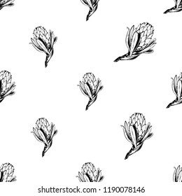 Floral protea pattern with black outline flower. Seamless background for fabric design. Cute and beautiful watercolor vector illustration on white backdrop.