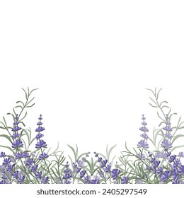 Borde floral morado-lavanda hecho de flores de lavanda y hojas, para el diseño de postales, invitaciones, banners, embalajes y papel pintado. Un marco