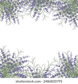 Borde floral de color púrpura-lavanda hecho de flores y hojas de lavanda, para el diseño de postales, invitaciones, Anuncios, empaques y Fondo de pantalla. Un marco para su diseño. Ilustración vectorial