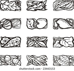 Floral rectangle design elements, vector series.