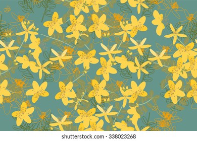 Floral retro vintage background, vector illustration, St.John's Wort (Latin: Hypericum perforatum)