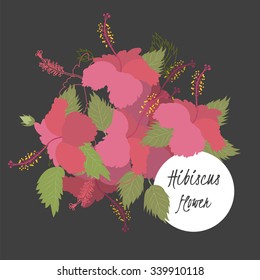 Floral retro vintage background, vector illustration, hibiscus