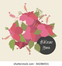 Floral retro vintage background, vector illustration, hibiscus