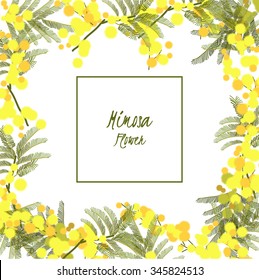 Floral retro vintage background, vector illustration, mimosa