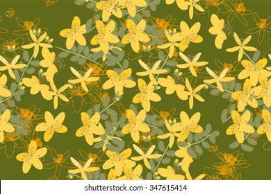 Floral retro vintage background, vector illustration, St.John's Wort (Latin: Hypericum perforatum)