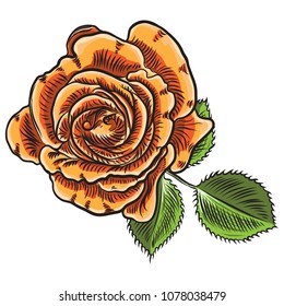 Floral rose flower element with green leaves for bouquet design, garden rose. Wedding invite card illustration design. Vector.