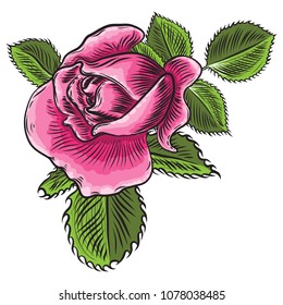 Floral rose flower element with green leaves for bouquet design, garden rose. Wedding invite card illustration design. Vector.