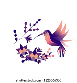 Floral round flat illustration  with palm leaves, exotic flowers and hummingbirds on a white background. Vector illustration.