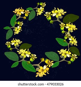 Floral round frame. Branches Jojoba - flowers, leaves and fruits. Vector Image. Wallpaper. Use printed materials, signs, posters, postcards, packaging, sticker, badge, label.