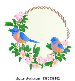 Floral round  frame with wild Roses  and cute small singings birds bluebirds vintage  festive  background vector illustration editable hand draw 
