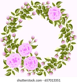 Floral round frames from dog roses. Vector greeting card template. Design artwork for the poster, tee shirt, pillow, home decor. Summer flowers with green leaves.