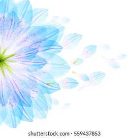 Floral Round Pattern Of Blue Flower Petals