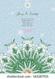 Floral round pattern of snowdrops. Snowfall foreground. Vector card. Place for your text. 