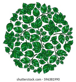 floral round pattern wreath  natural design with leaves. Spring summer design for invitation, wedding or greeting cards. White silhouette, mint green background. Vector