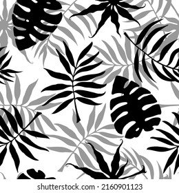 Floral seamless background. Abstract tropical leaves on a white background.