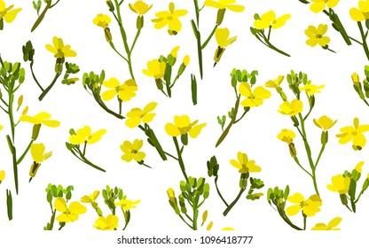 Floral seamless background pattern with wild flowers and leaves. Botanical illustration  hand drawn.Textile print, fabric swatch, wrapping paper.