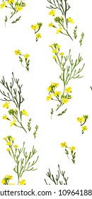 Floral seamless background pattern with wild flowers and leaves. Botanical illustration  hand drawn.Textile print, fabric swatch, wrapping paper.