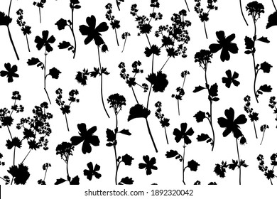 Floral seamless background pattern. Wild flowers hand drawn, vector. Spring summer. Fabric swatch, textile design, wrapping paper