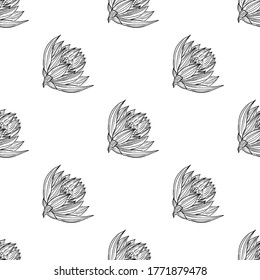 Fondo floral sin soldadura para textiles, tejidos, cubiertas, papel pintado, imprenta, envoltura de regalo o para cualquier fin