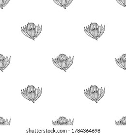 Fondo floral sin soldadura para textiles, tejidos, cubiertas, papel pintado, imprenta, envoltura de regalo o para cualquier fin