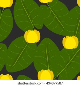 Floral seamless background. Vector illustration. Yellow water-Lily. 