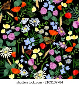 Floral seamless background. Wildflowers on a black background in vector