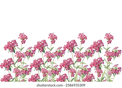 Floral seamless border with abstract delicate wildflowers. Isolated watercolor flower illustration for cover, background, invitation or greeting cards, decorative design pattern.