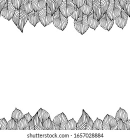 Floral seamless border with branches on white background. Ornament with tropic leaves. Outline vector stock illustration for wallpaper, posters, card, fabric, textile.  Doodle style. Copy space.