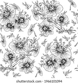 Floral, seamless botanical pattern, orchid flower isolated on white background. monochrome, wallpaper. hand-drawn pattern for textiles in a minimalist style. art  drawing for printing wrapping paper. 