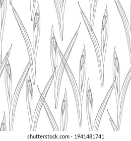 Floral seamless etching pattern. Flower background. Floral seamless texture with iris flowers bud. Flourish tiled line wallpaper.