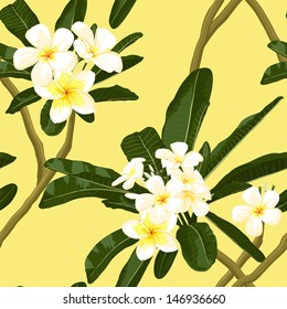 Floral seamless exotic pattern. Tropical plumeria background. Summer design