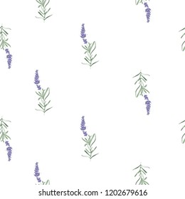 Floral seamless with lavender branch. Pattern or card design. Vector watercolor vintage sketch. Botanical colorful illustration on white background.