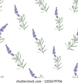 Floral seamless with lavender branch. Pattern or card design. Vector watercolor vintage sketch. Botanical colorful illustration on white background.