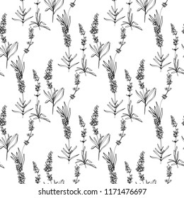 Floral seamless with lavender greenery. Black outline botanical illustration on white background. Vintage sketch vector pattern or card design.