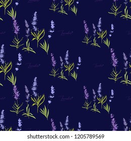 Floral seamless with lavender greenery and hand lettering. Vector watercolor vintage sketch. Botanical colorful illustration on dark blue background. Pattern or card design.