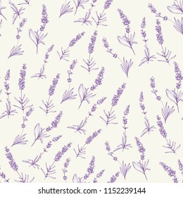 Floral seamless with lavender greenery. Purple outline botanical illustration on white background. Vintage sketch vector pattern or card design.