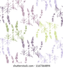 Floral seamless with lavender greenery. Purple outline botanical illustration on white background. Vintage sketch vector pattern or card design.