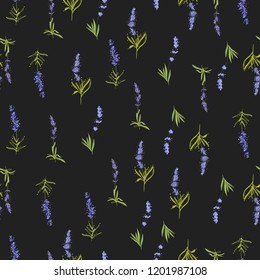 Floral seamless with lavender greenery. Vector watercolor vintage sketch. Botanical colorful illustration on black background. Pattern or card design.