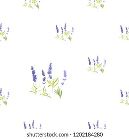Floral seamless with lavender greenery. Vector watercolor vintage sketch. Botanical colorful illustration on white background. Pattern or card design.